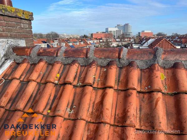 Pannendak met nokvorst en schoorsteen, dakrenovatie in Breukelen Pannendak met nokvorst en schoorsteen, dakrenovatie in Breukelen